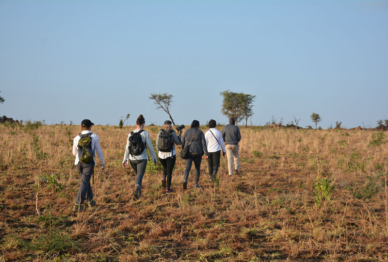 Tourists take a safari walk in Kidepo Valley National Park with Kwezi Outdoors